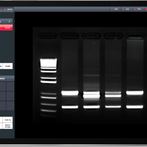 UV-fluorescence & colorimetric