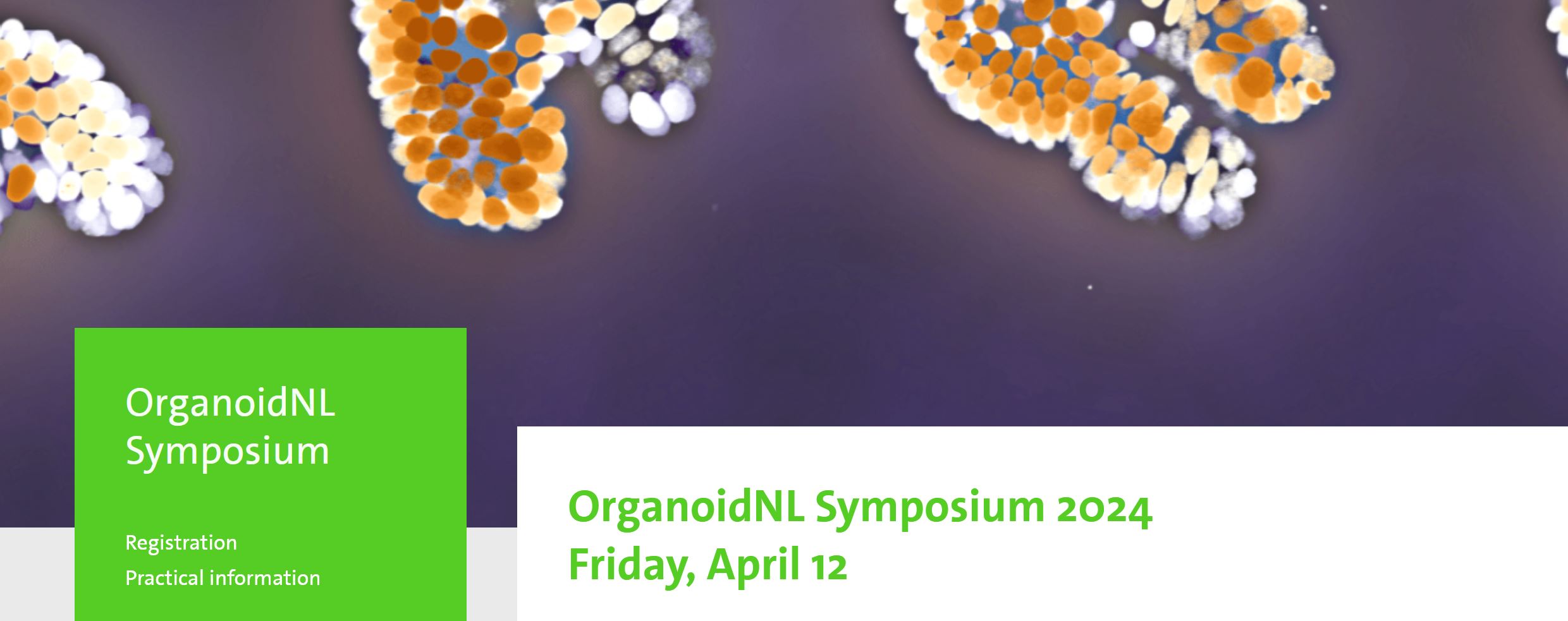 OrganoidNL